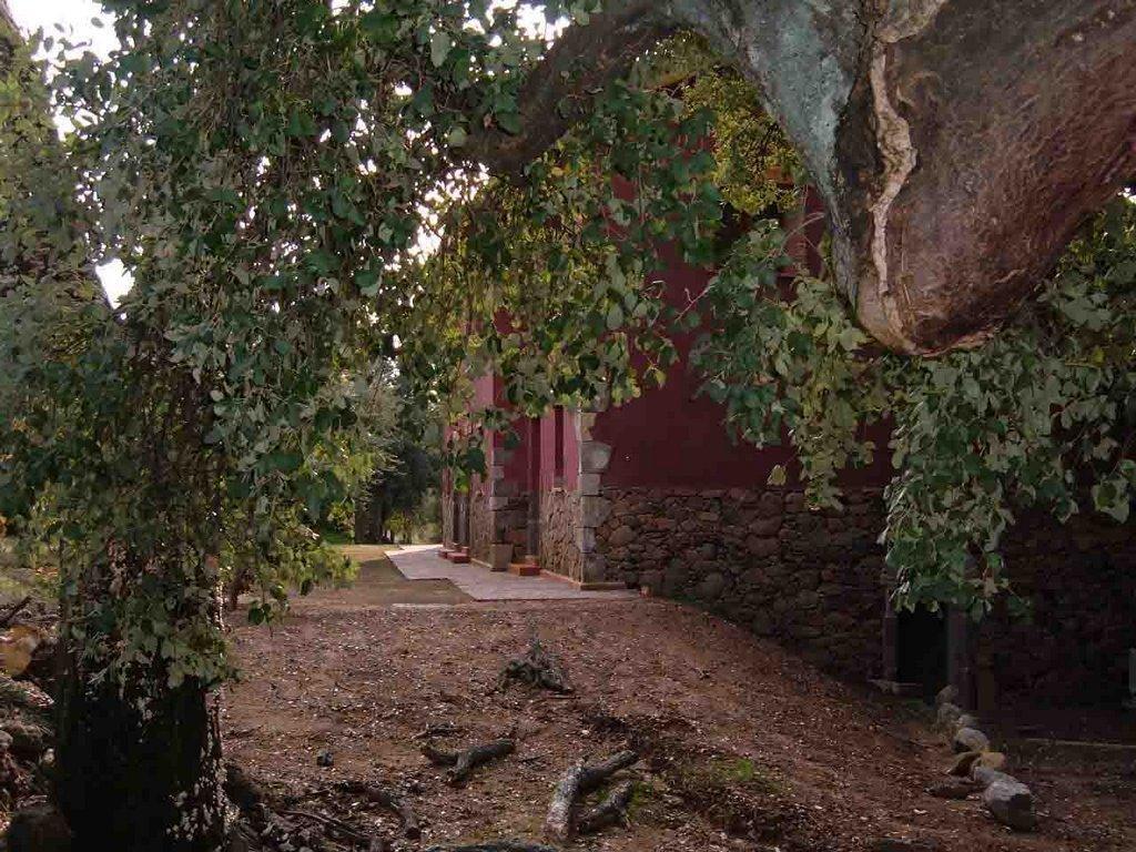Apartamentos Rurales La Oropendola Jaraiz de la Vera Exterior photo